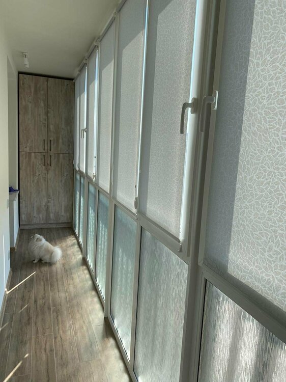 Святошино  (2).jpg