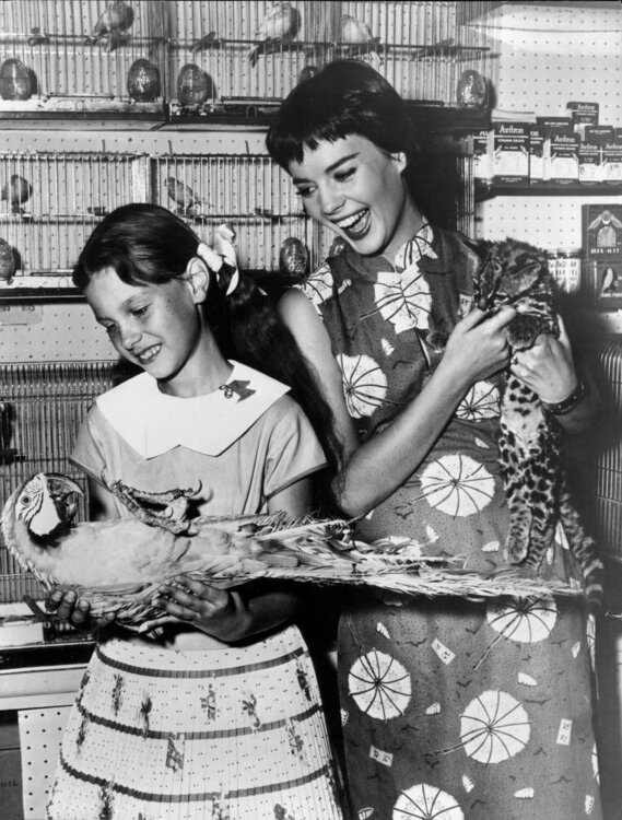 Natalie_Wood_and_Lana_Wood_1956.jpg