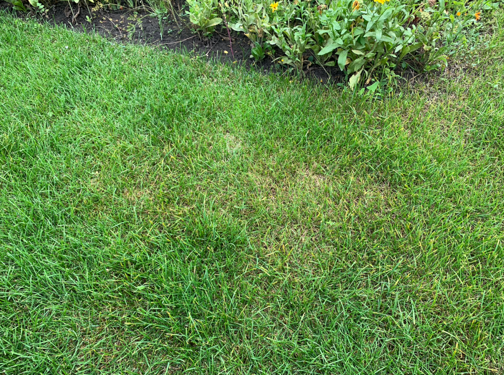 Снимок экрана 2022-08-14 в 13.15.56.png