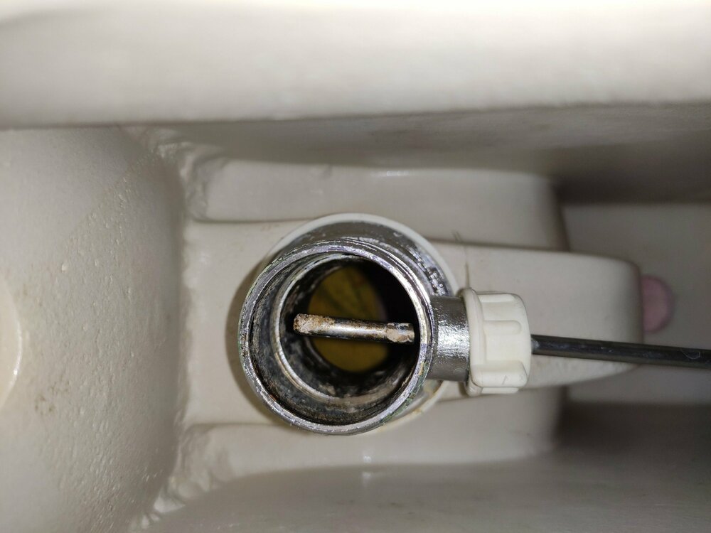 IMG_20220831_095345 биде2.jpg