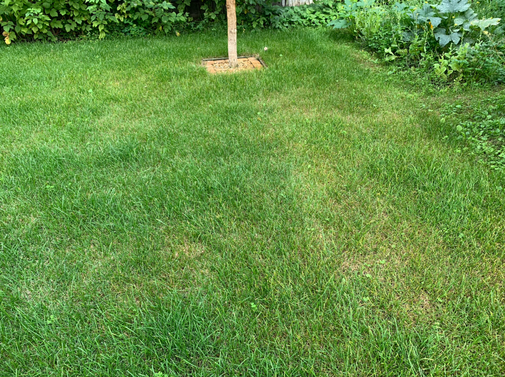 Снимок экрана 2022-08-14 в 13.16.21.png