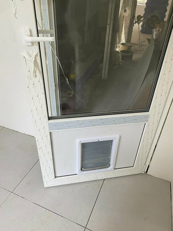 двери с дверью для кота.jpg