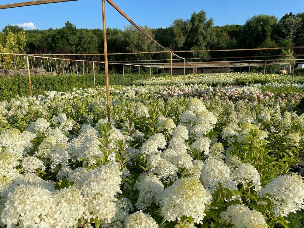 IMAGE 2022-09-16 10:43:17.jpg