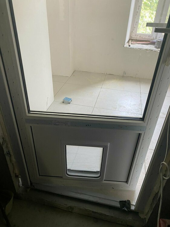 двери с дверью для кота 2.jpg