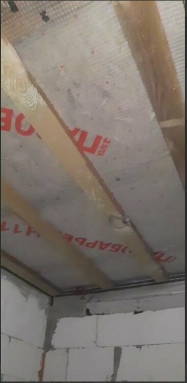 потолок ванной.jpg