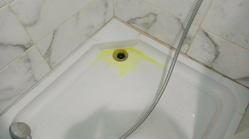 2022-11-06 15.44.54.jpg