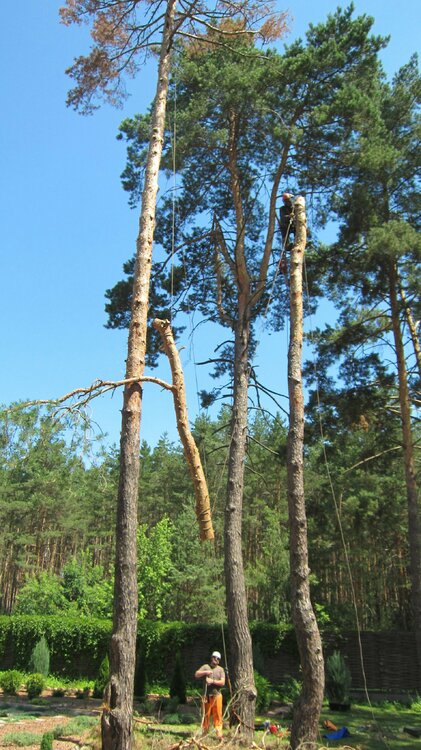 Изображение 2283.jpg