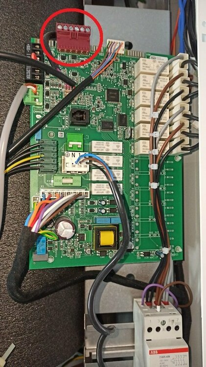 2021-09-28 12.44.42.jpg