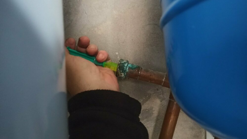 2022-11-08 12.24.07.jpg