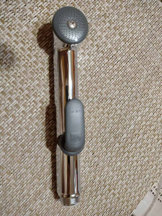 Бидетка Орас.jpg