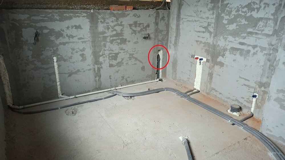 2022-09-27 13.21.24.jpg