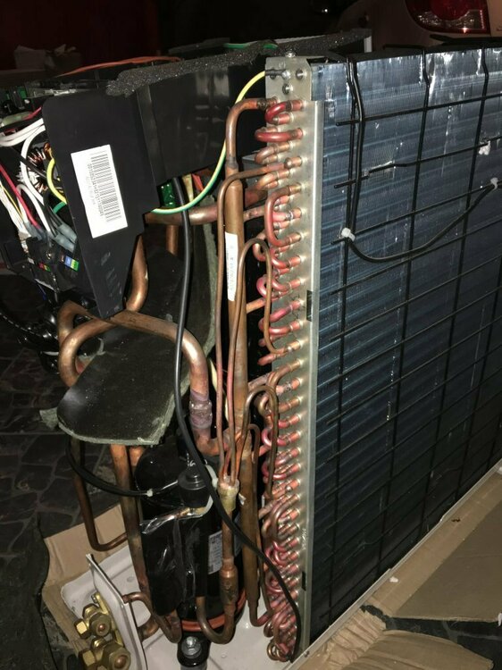 2019-11-25 18.25.10.jpg