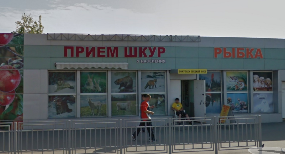 Снимок экрана от 2023-03-03 11-50-28.png