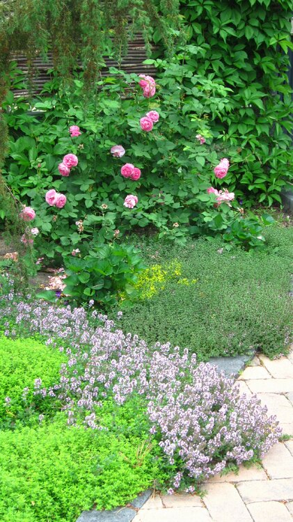 Изображение 2748.jpg