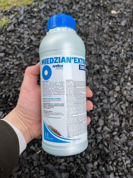 329700889_499823829026639_1587495771443687597_n (1).jpg