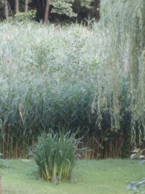 20210722_074115 (2).jpg