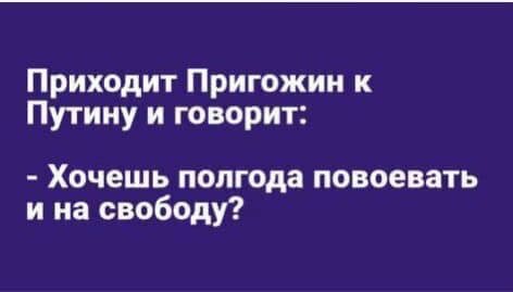 336373079_739015137921097_7671618649251918988_n.jpg.300a50623fab8c8015a9221e211f1517.jpg