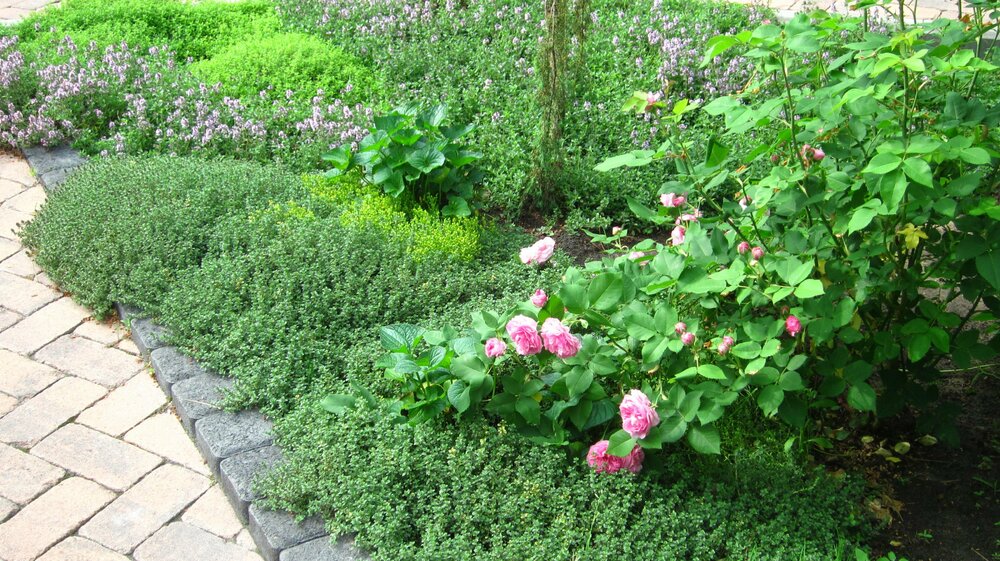 Изображение 2713.jpg