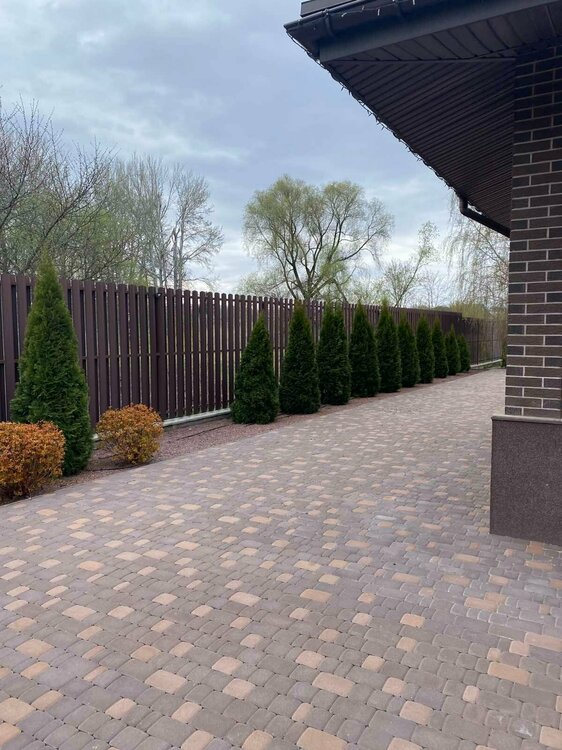 Вместо вишни 1.jpg