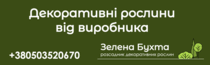 advertisement_alt