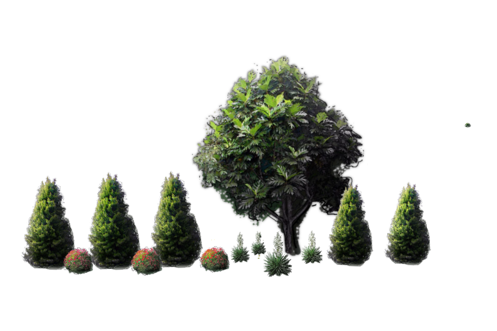 Без названия.png