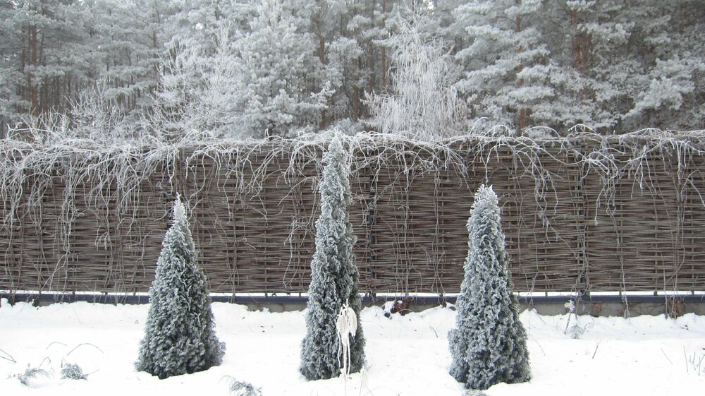 Изображение 2644.jpg