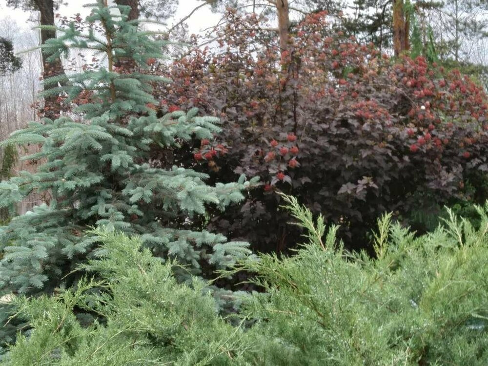 1686658004823 (1).JPEG