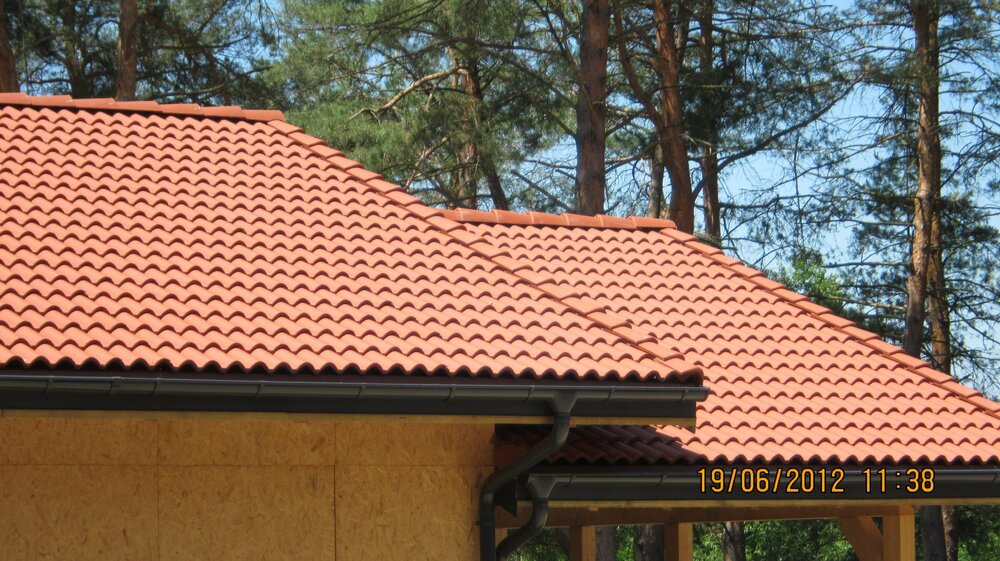 Изображение 1140.jpg