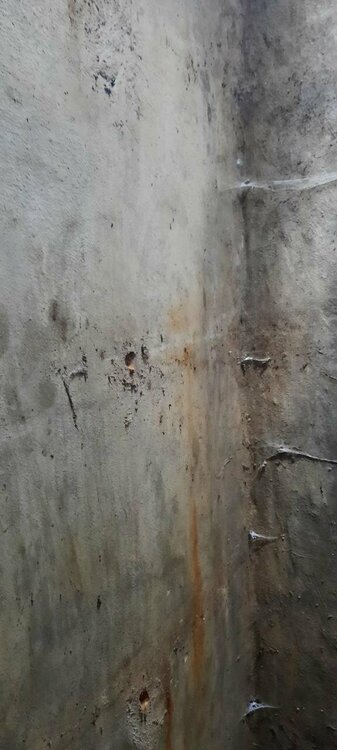 photo1693226608 (3).jpeg