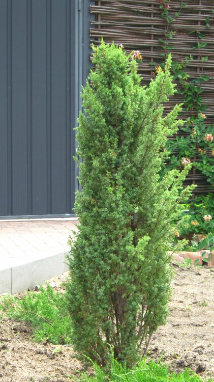 Изображение 2027.jpg