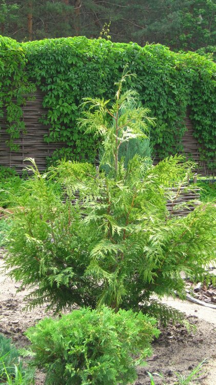 Изображение 2026.jpg