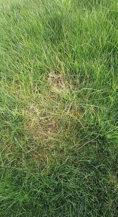 photo_2023-08-31_15-14-08 (2).jpg