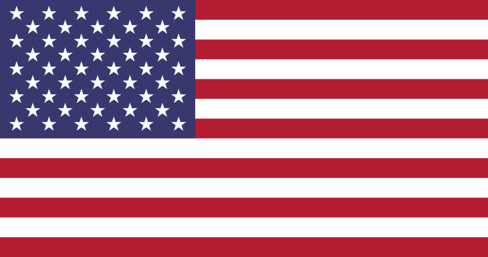 Flag_of_the_U.S..svg.png