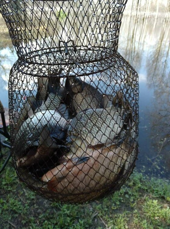 1692461619327 (2).JPEG