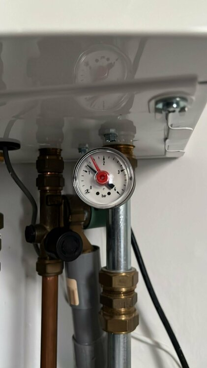 WhatsApp Image 2023-10-20 at 12.52.56.jpeg