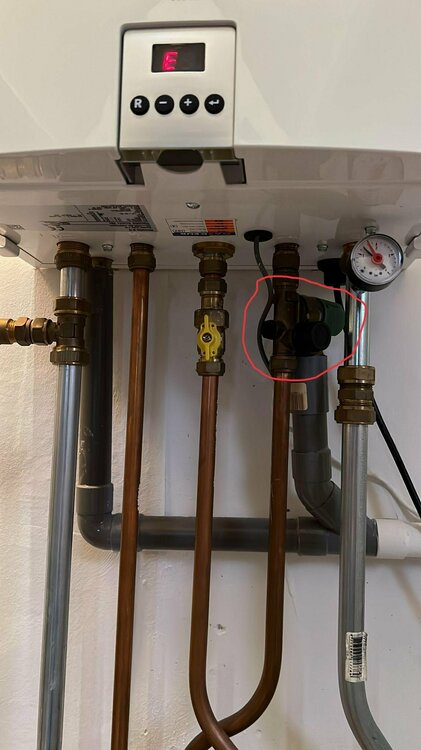 WhatsApp Image 2023-10-20 at 10.07.35.jpeg