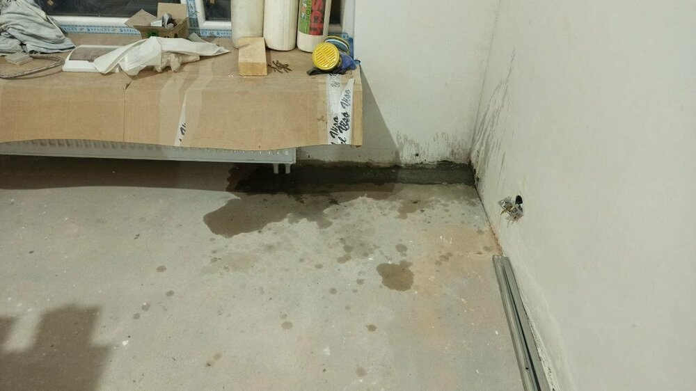 photo1698340953 (2).jpeg