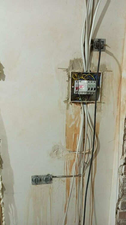 photo1697258191 (3).jpeg