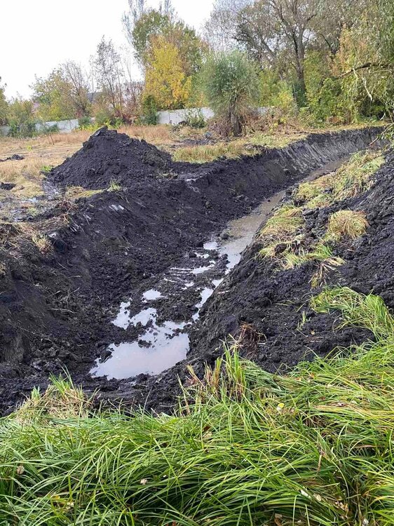 ставок сусід 1.jpg