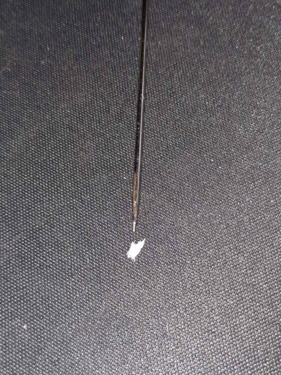 кокон паука.jpg