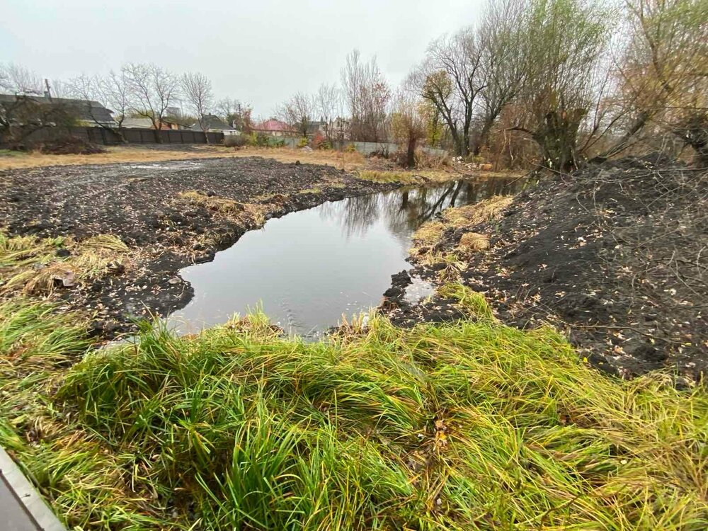 Ставок сосед 4.jpg