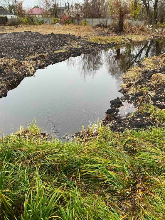 Ставок сосед 3.jpg