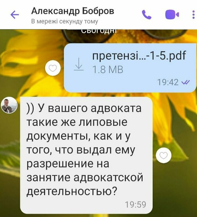 адвокат.jpg