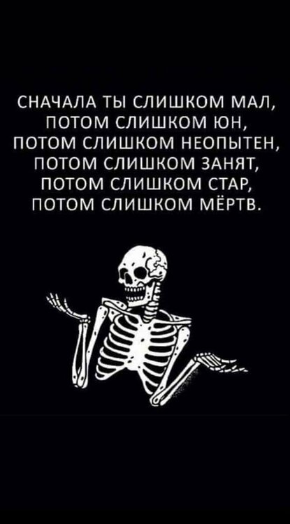 408768554_24201192529528060_5054490046682864536_n.jpg