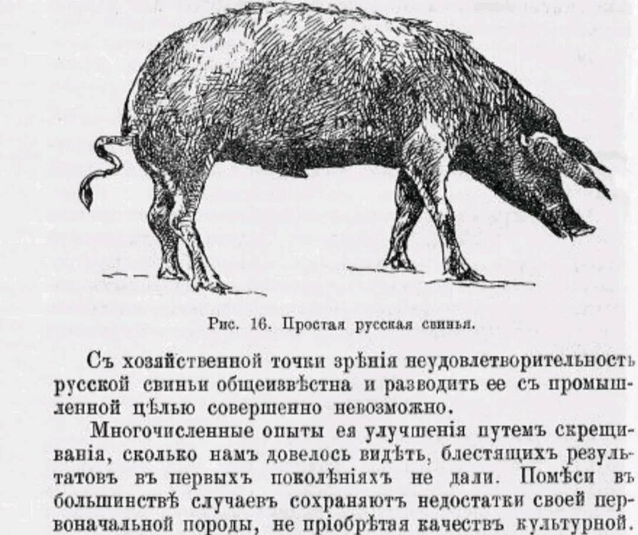 417508371_2230252787169089_727509627010689547_n (1).jpg