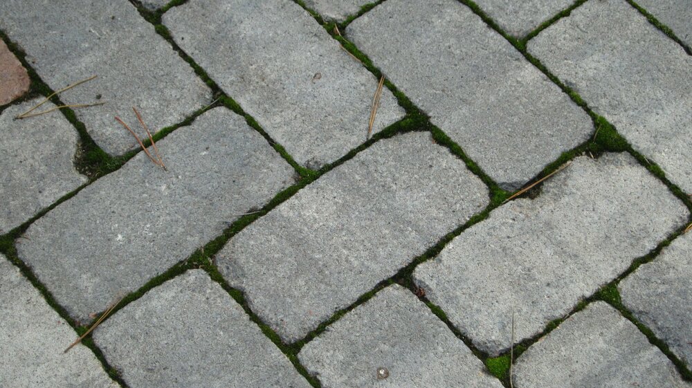 Изображение 2597.jpg