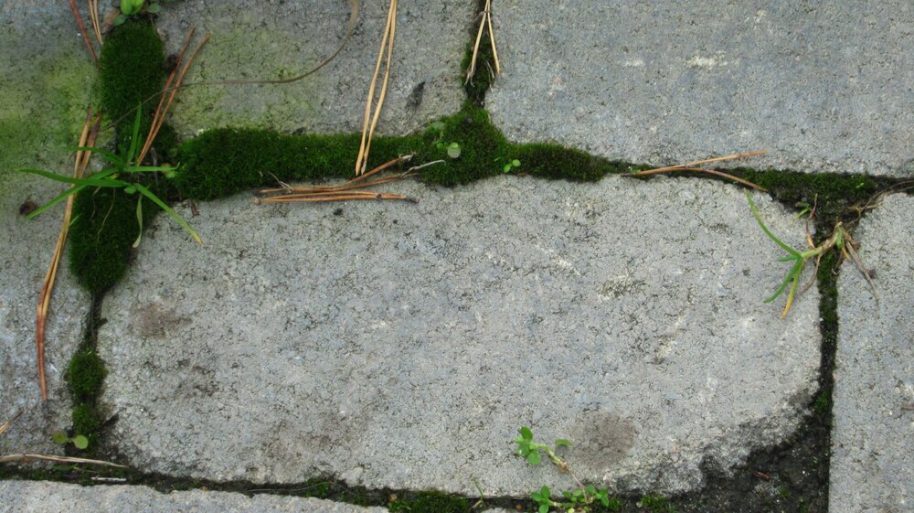 Изображение 2603.jpg