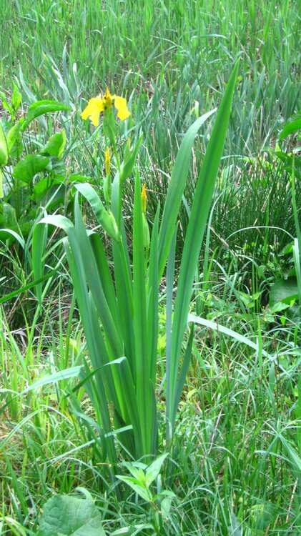 Изображение 1594.jpg