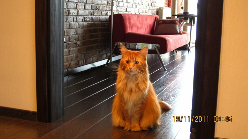 Изображение 1064.jpg