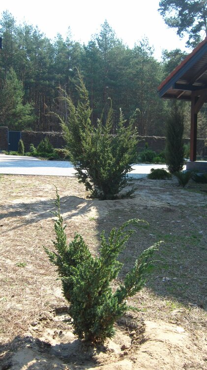 Изображение 2142.jpg